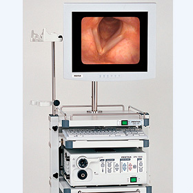 鼻咽喉頭電子内視鏡